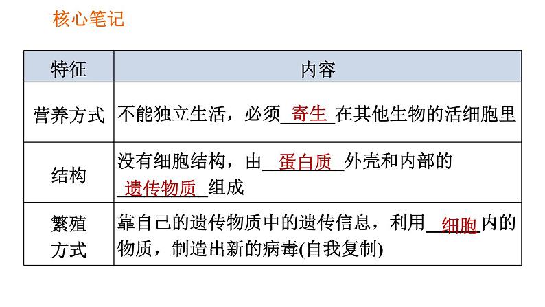 人教版八年级上册生物习题课件 第5单元 第5章 病毒03