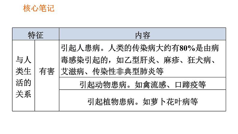 人教版八年级上册生物习题课件 第5单元 第5章 病毒04