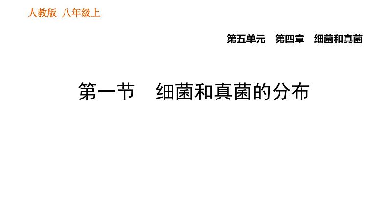 人教版八年级上册生物习题课件第5单元 第4章 4.1 细菌和真菌的分布01