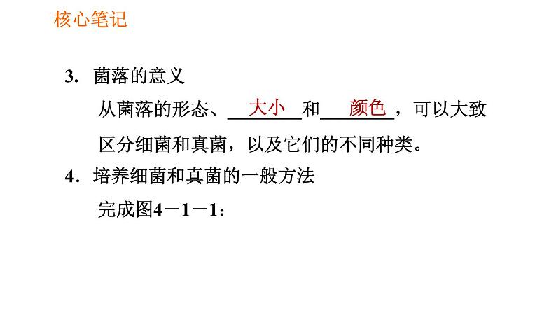 人教版八年级上册生物习题课件第5单元 第4章 4.1 细菌和真菌的分布03