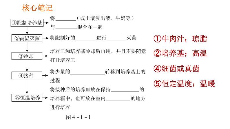 人教版八年级上册生物习题课件第5单元 第4章 4.1 细菌和真菌的分布04