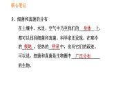 人教版八年级上册生物习题课件第5单元 第4章 4.1 细菌和真菌的分布