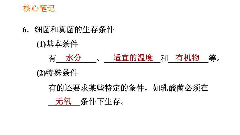 人教版八年级上册生物习题课件第5单元 第4章 4.1 细菌和真菌的分布06