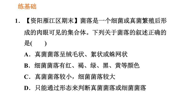 人教版八年级上册生物习题课件第5单元 第4章 4.1 细菌和真菌的分布08