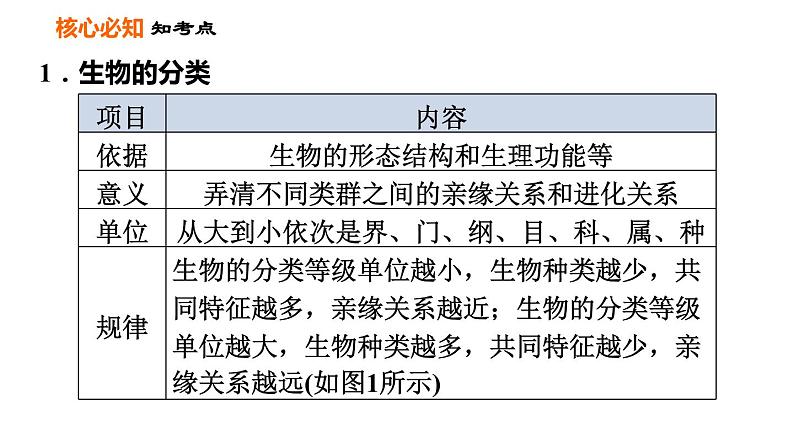 人教版八年级上册生物习题课件 第6单元 第一～三章巩固强化复习03