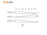 人教版八年级上册生物习题课件 第6单元 第一～三章巩固强化复习