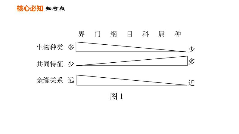 人教版八年级上册生物习题课件 第6单元 第一～三章巩固强化复习04