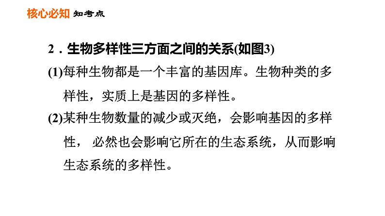 人教版八年级上册生物习题课件 第6单元 第一～三章巩固强化复习05