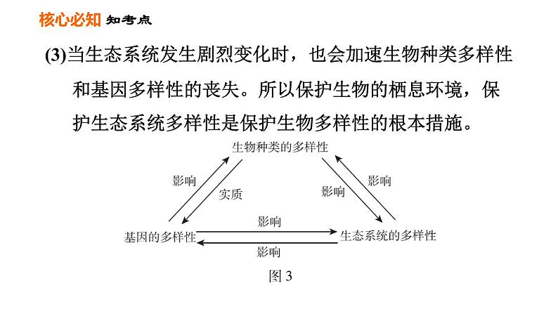 人教版八年级上册生物习题课件 第6单元 第一～三章巩固强化复习06