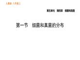 人教版八年级上册生物习题课件第5单元 第4章  4.1 细菌和真菌的分布