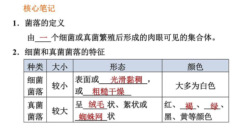 人教版八年级上册生物习题课件第5单元 第4章  4.1 细菌和真菌的分布第2页