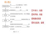 人教版八年级上册生物习题课件第5单元 第4章  4.1 细菌和真菌的分布
