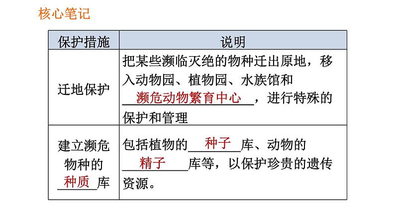 人教版八年级上册生物习题课件 第6单元 第3章 保护生物的多样性004