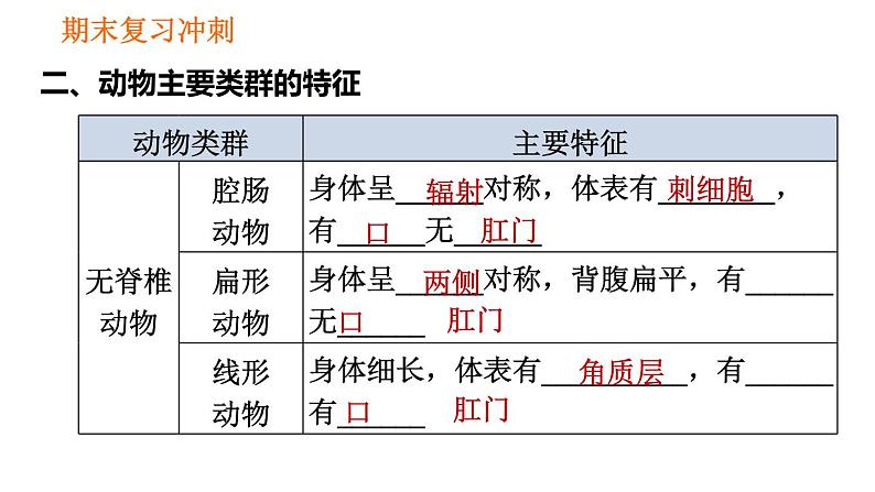 人教版八年级上册生物习题课件 期末复习冲刺 第五单元04