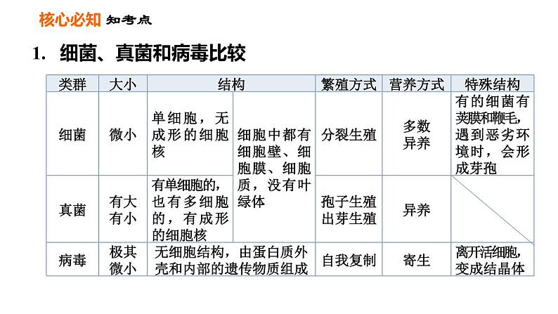 人教版八年级上册生物习题课件 第5单元 第5章 第四、五章巩固强化复习第3页