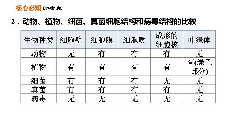 人教版八年级上册生物习题课件 第5单元 第5章 第四、五章巩固强化复习第4页