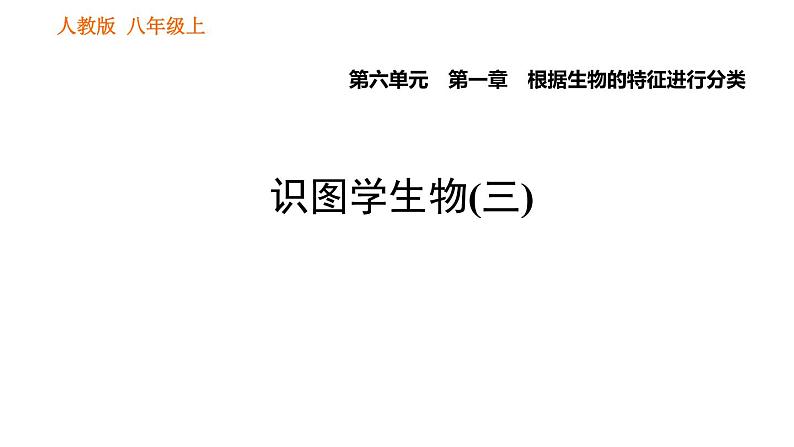 人教版八年级上册生物习题课件 第6单元 第1章 识图学生物(三)001