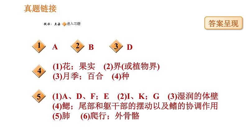 人教版八年级上册生物习题课件 第6单元 第1章 识图学生物(三)002