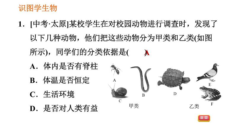 人教版八年级上册生物习题课件 第6单元 第1章 识图学生物(三)003