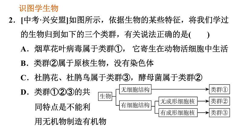 人教版八年级上册生物习题课件 第6单元 第1章 识图学生物(三)004