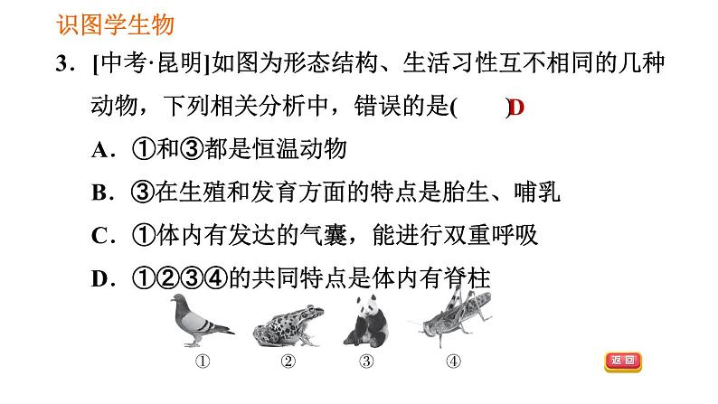 人教版八年级上册生物习题课件 第6单元 第1章 识图学生物(三)007