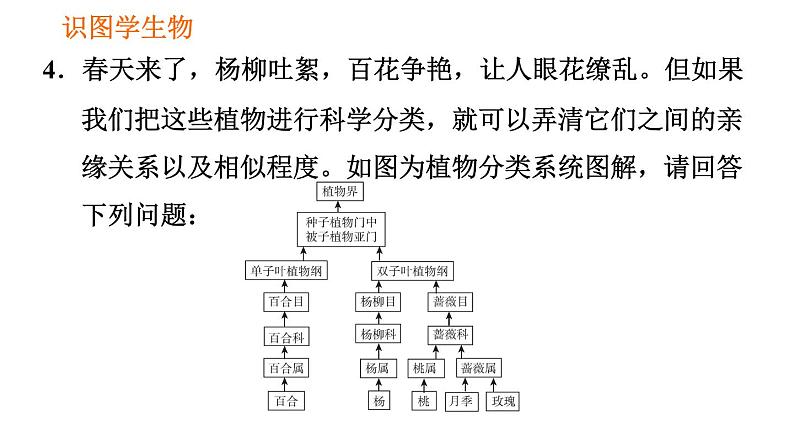 人教版八年级上册生物习题课件 第6单元 第1章 识图学生物(三)008