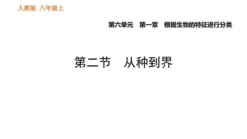 人教版八年级上册生物习题课件 第6单元 第1章 1.2 从种到界01