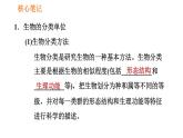 人教版八年级上册生物习题课件 第6单元 第1章 1.2 从种到界