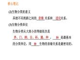 人教版八年级上册生物习题课件 第6单元 第1章 1.2 从种到界