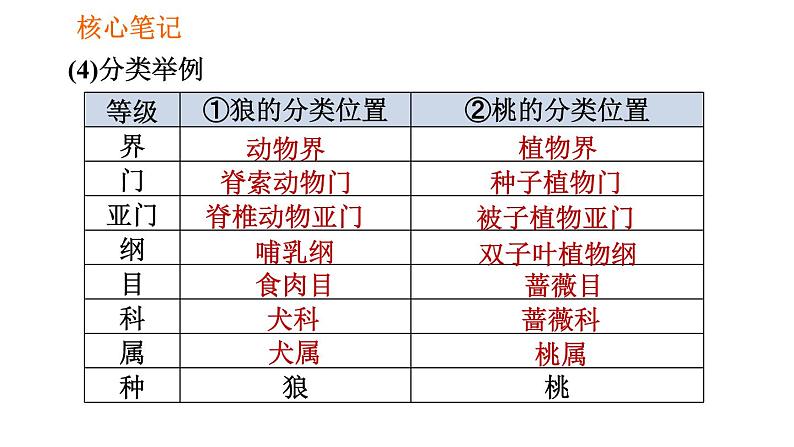 人教版八年级上册生物习题课件 第6单元 第1章 1.2 从种到界04