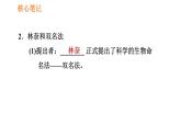 人教版八年级上册生物习题课件 第6单元 第1章 1.2 从种到界