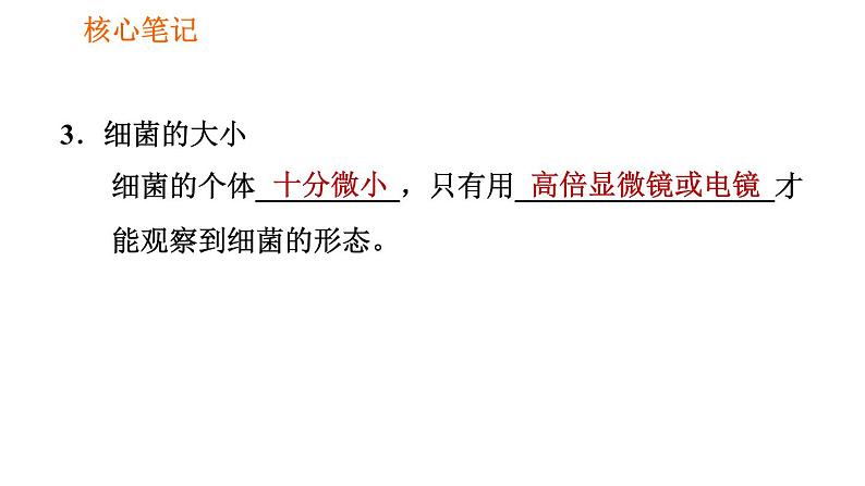 人教版八年级上册生物第5单元 第4章  习题课件04