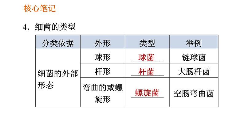 人教版八年级上册生物第5单元 第4章  习题课件05