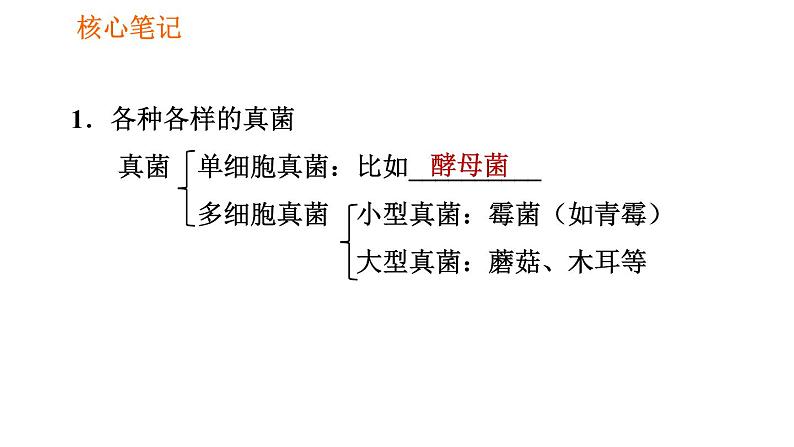 人教版八年级上册生物第5单元 第4章 习题课件02