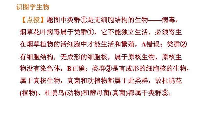 人教版八年级上册生物习题课件 第6单元 第1章 识图学生物(三)第5页