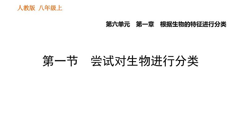 人教版八年级上册生物习题课件 第6单元 第1章 1.1 尝试对生物进行分类第1页