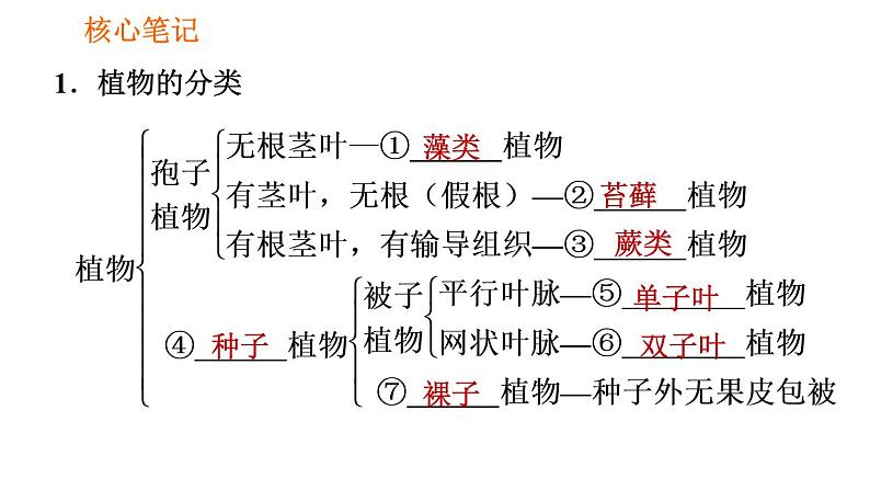 人教版八年级上册生物习题课件 第6单元 第1章 1.1 尝试对生物进行分类第2页