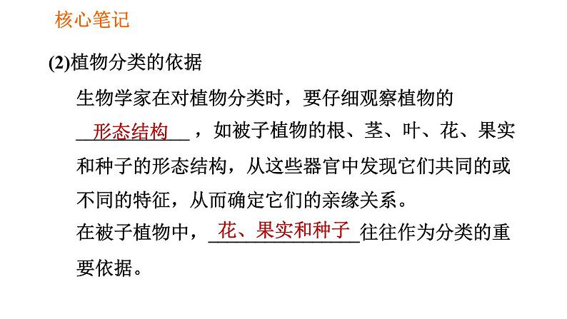 人教版八年级上册生物习题课件 第6单元 第1章 1.1 尝试对生物进行分类第3页