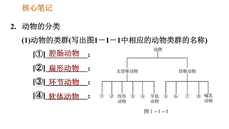 人教版八年级上册生物习题课件 第6单元 第1章 1.1 尝试对生物进行分类第4页