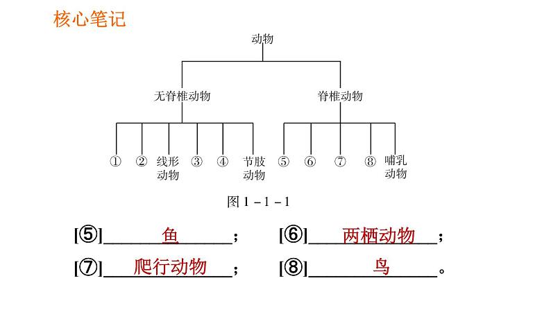 人教版八年级上册生物习题课件 第6单元 第1章 1.1 尝试对生物进行分类第5页