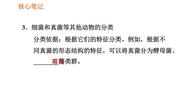 人教版八年级上册生物习题课件 第6单元 第1章 1.1 尝试对生物进行分类第7页