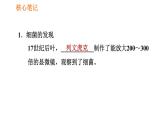 人教版八年级上册生物习题课件第5单元 第4章  4.2 细菌