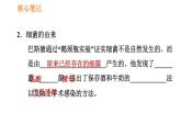人教版八年级上册生物习题课件第5单元 第4章  4.2 细菌