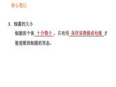 人教版八年级上册生物习题课件第5单元 第4章  4.2 细菌