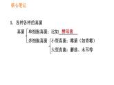 人教版八年级上册生物习题课件第5单元 第4章 4.3 真菌