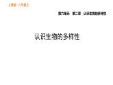 人教版八年级上册生物习题课件 第6单元 第2章 认识生物的多样性