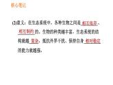 人教版八年级上册生物习题课件 第6单元 第2章 认识生物的多样性