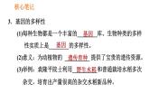 人教版八年级上册生物习题课件 第6单元 第2章 认识生物的多样性