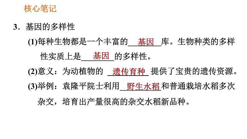 人教版八年级上册生物习题课件 第6单元 第2章 认识生物的多样性05