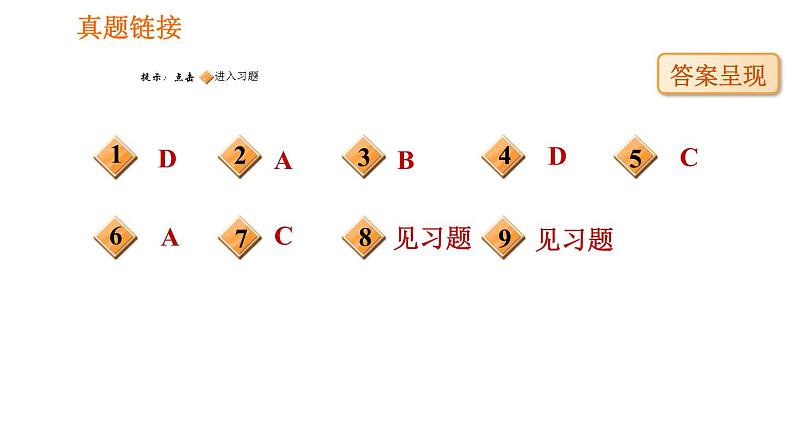 人教版八年级上册生物习题课件 第6单元 第2章 认识生物的多样性08